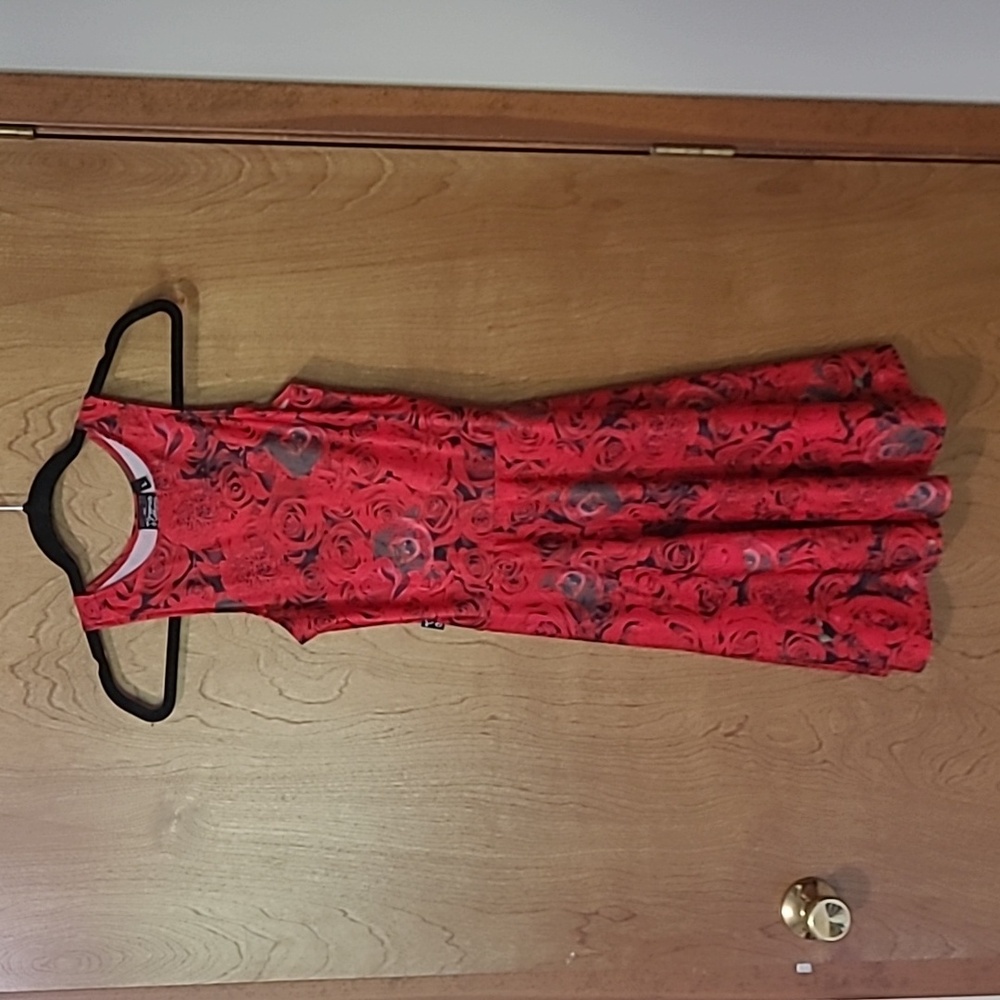 Grassroots skater dress
